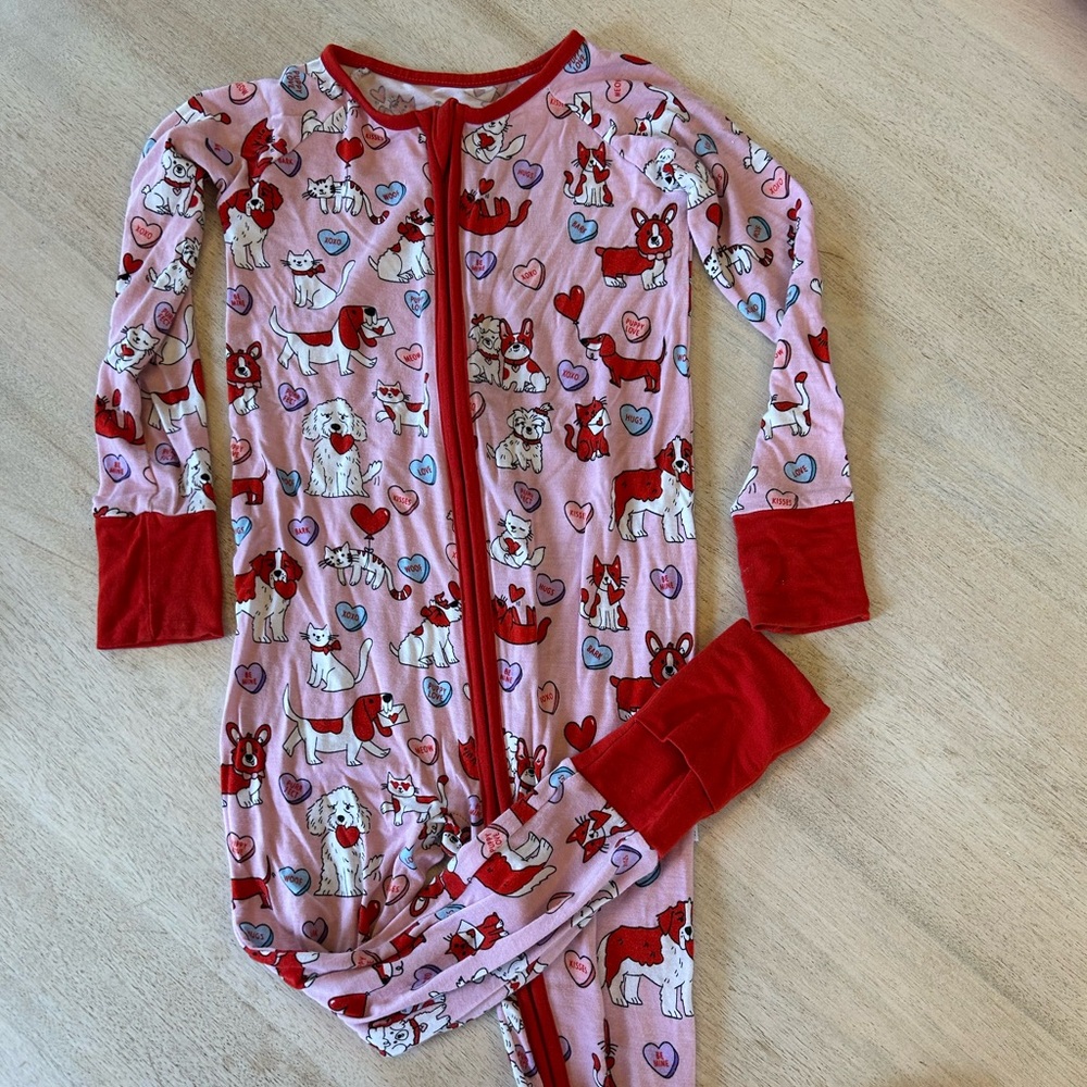 Little Sleepies Zippie Size 2T